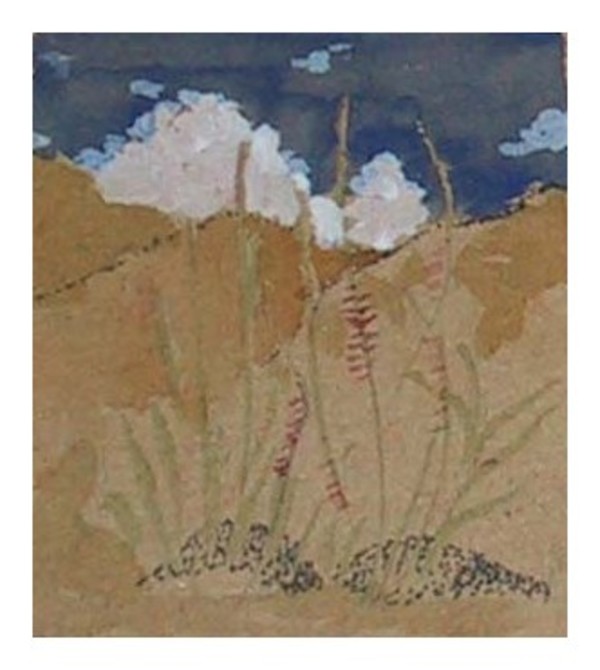 Ocotillo by Thomas Sundberg