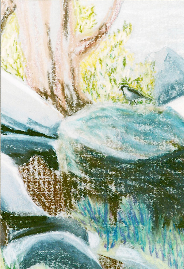 Bird II by Thomas Sundberg