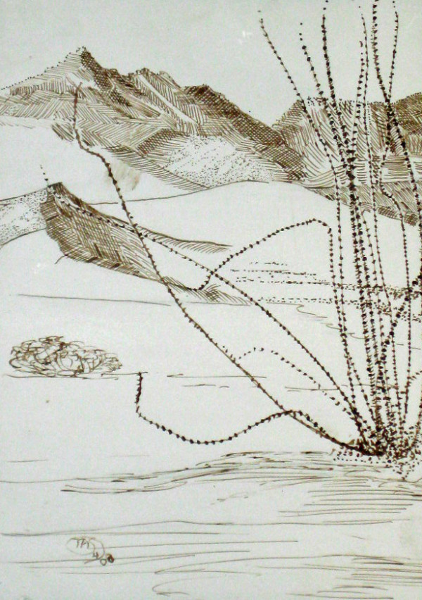 Ocotillo II by Thomas Sundberg