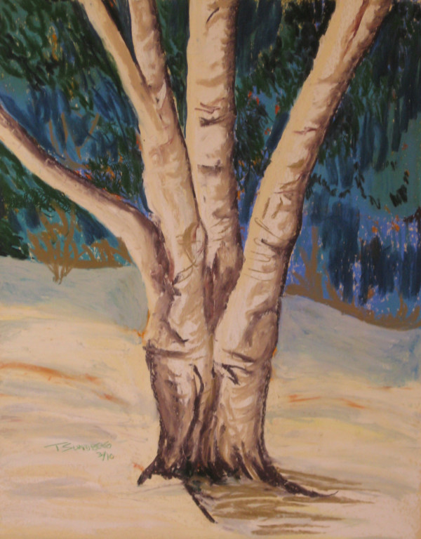 Birch in Winter by Thomas Sundberg