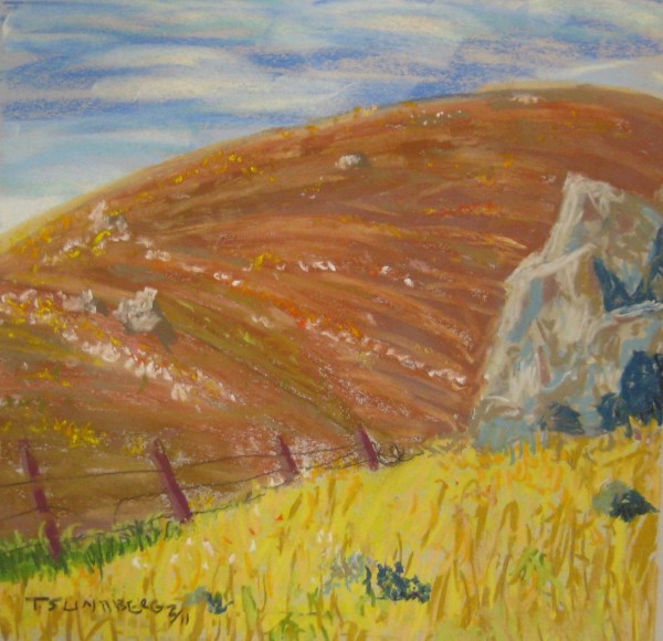 Hillside II by Thomas Sundberg