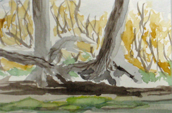 Wet Feet by Thomas Sundberg