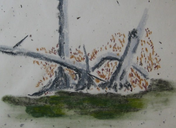 Standing Water by Thomas Sundberg