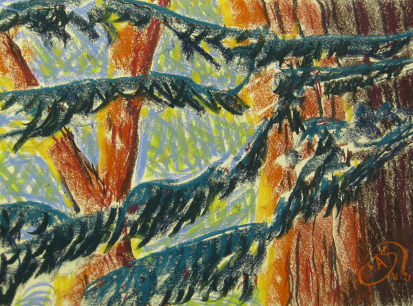 Pine Boughs by Thomas Sundberg