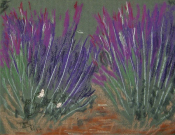 Lavender Adobe by Thomas Sundberg