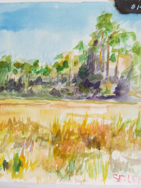 Weeks Bayou Watercolor by Jill Seiler