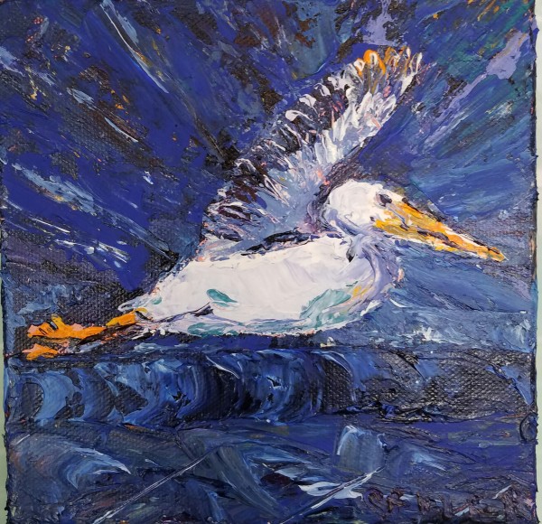 Pelican Paradise by Jill Seiler