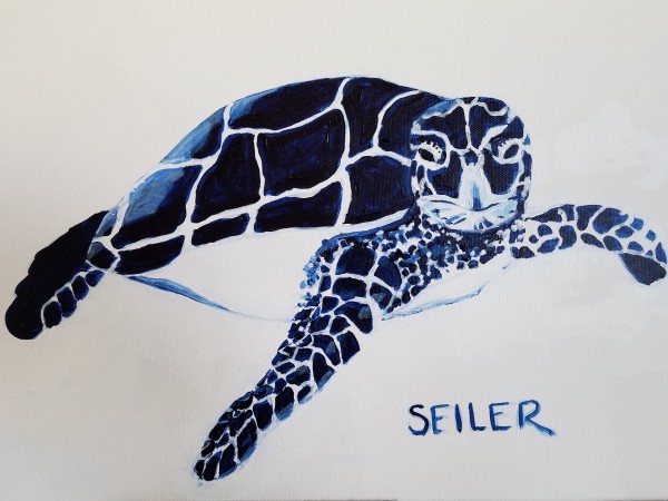 Turtle Graphic by Jill Seiler