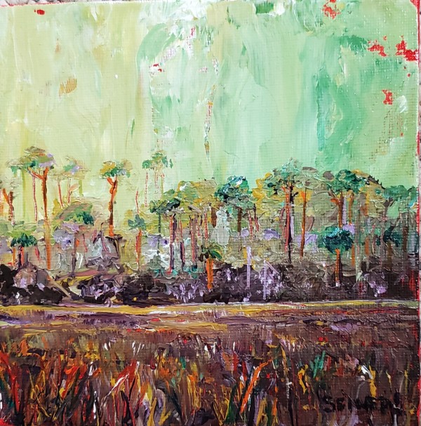 Swamp Pines by Jill Seiler