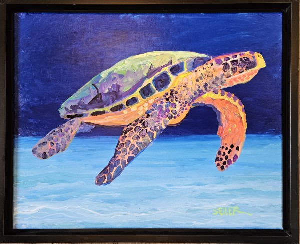 Turtle-Mania by Jill Seiler