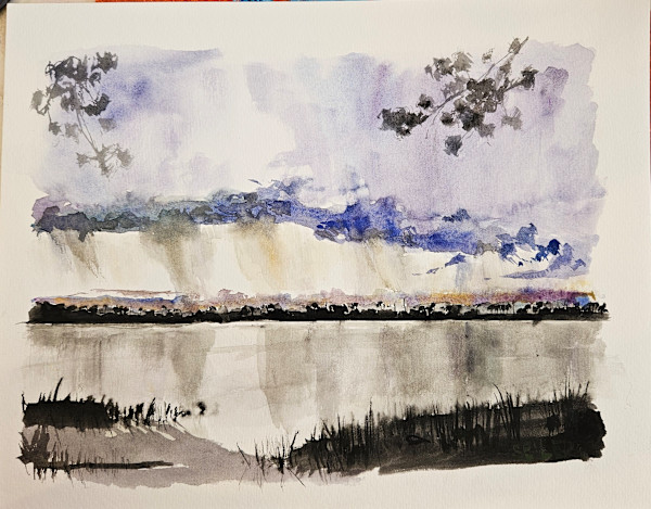 Pig Island Storm by Jill Seiler
