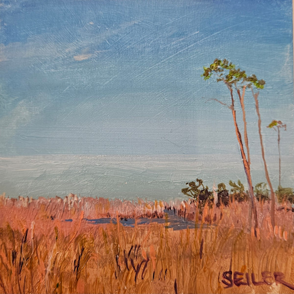 Distant Sparkle by Jill Seiler