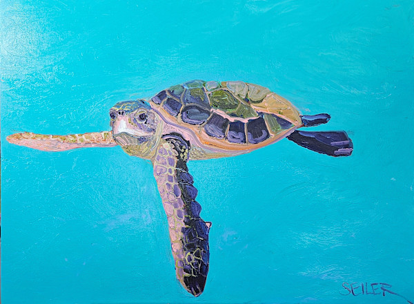 Turtle Time by Jill Seiler