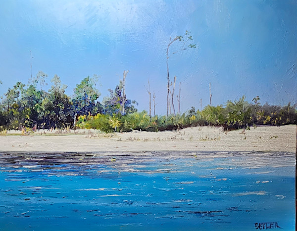 Cape Sanctuary by Jill Seiler