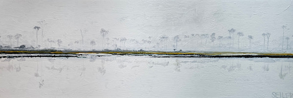 Foggy Florida by Jill Seiler