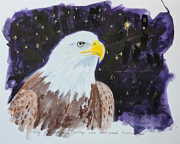 Adam's Eagle Scout by Jill Seiler