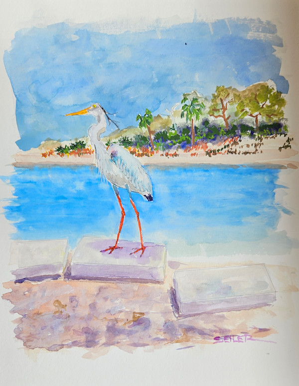 Down By The Sea by Jill Seiler