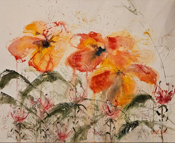 Poppy Hill by Jill Seiler