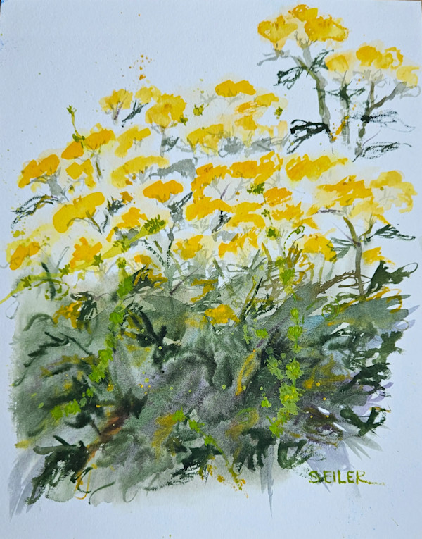 Blooms and  Bramble by Jill Seiler