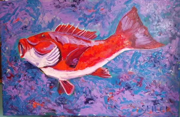 Flashy Red Fish by Jill Seiler