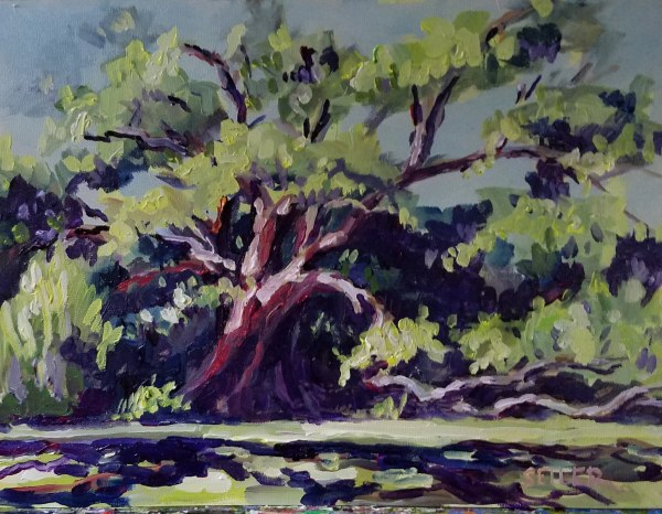 Ruskin Oak by Jill Seiler