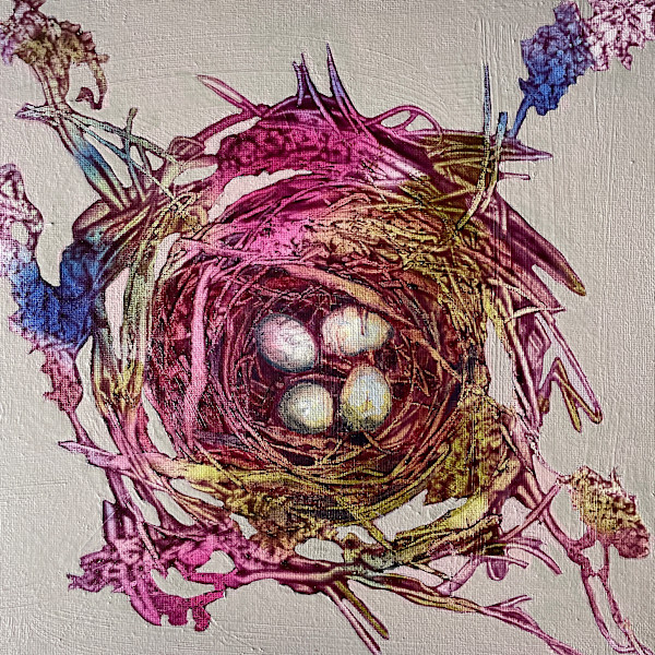 Incubate by Jenny Robinson, Image 1.