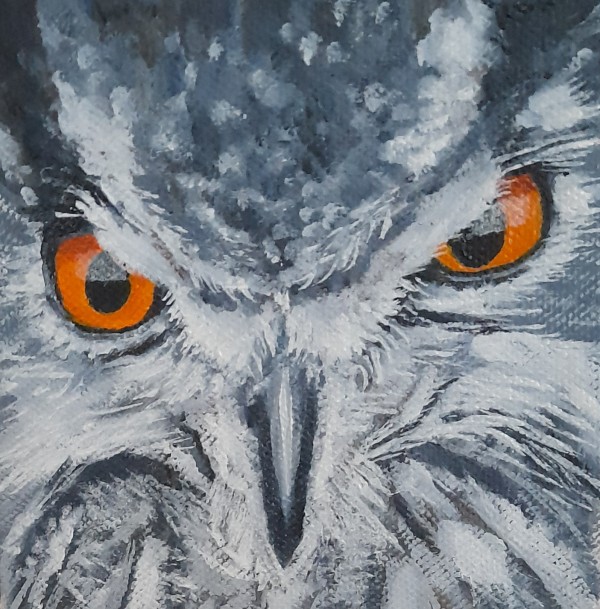 Owl with a Scowl by Valerie Shuff