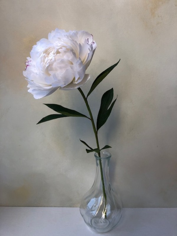 Peony by Anna Howarth