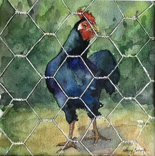 Blue Chicken by Nancy Brooks