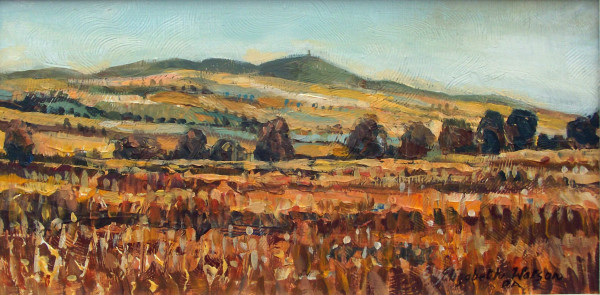 Towards Kinpurnie Hill from Kinalty by Elizabeth Watson