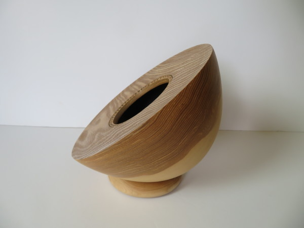 Ash hollow form by Arun Radysh-Haasis