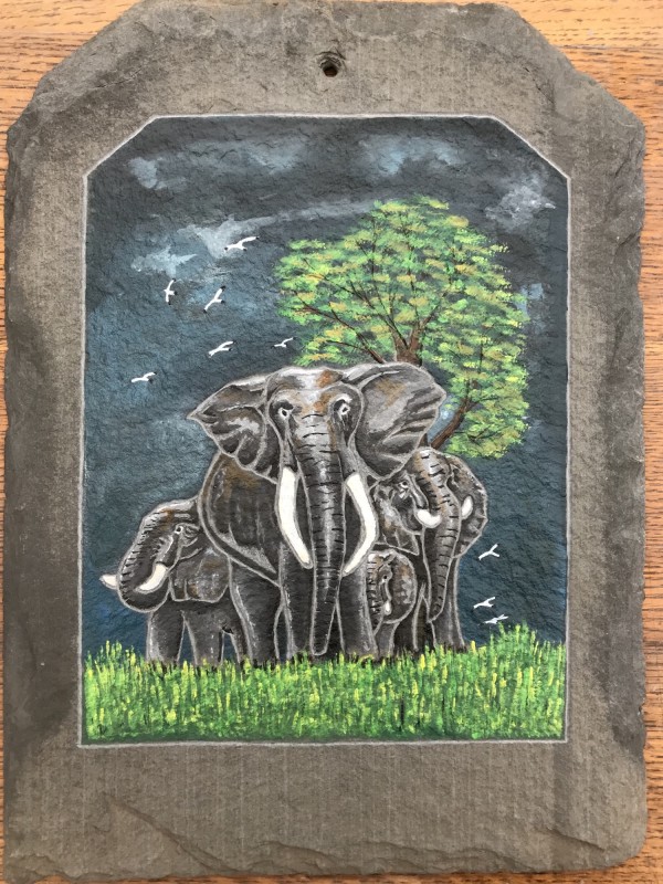 Elephant Family by Shaun Morris