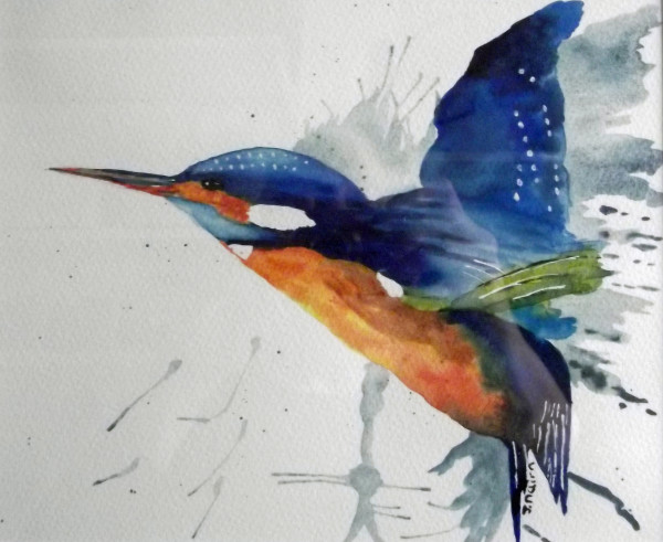 Kingfisher leaving the water by Jayne Nairn