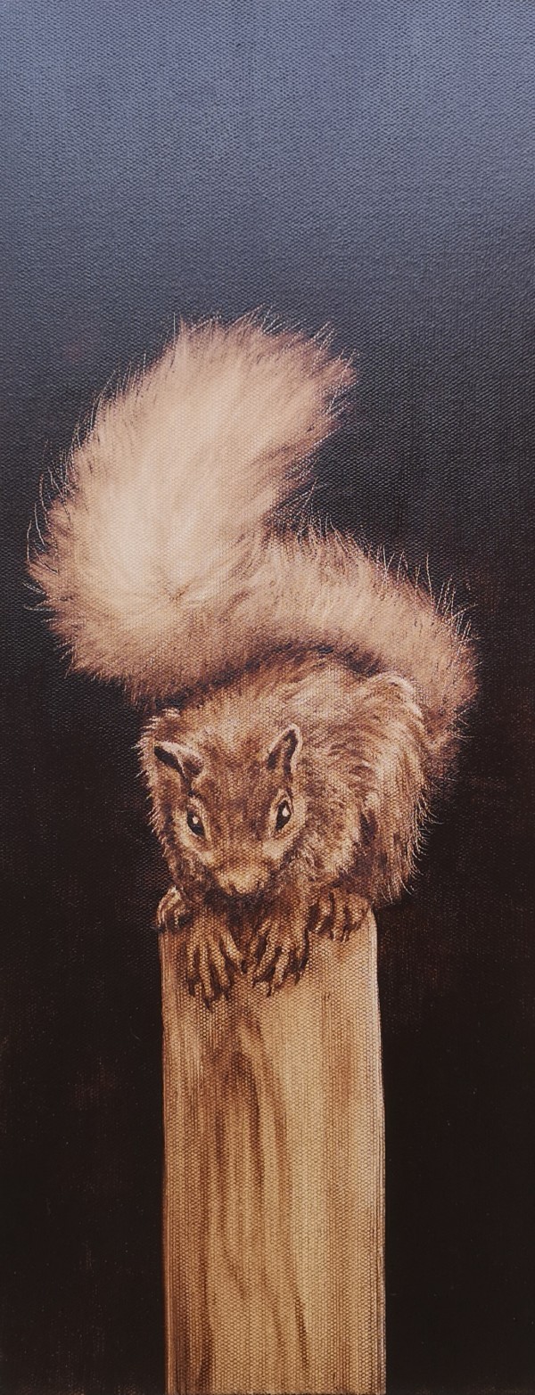 Red Squirrel by Sabrin Miller