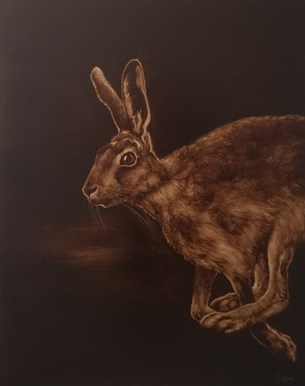 Speedy Hare by Sabrin Miller