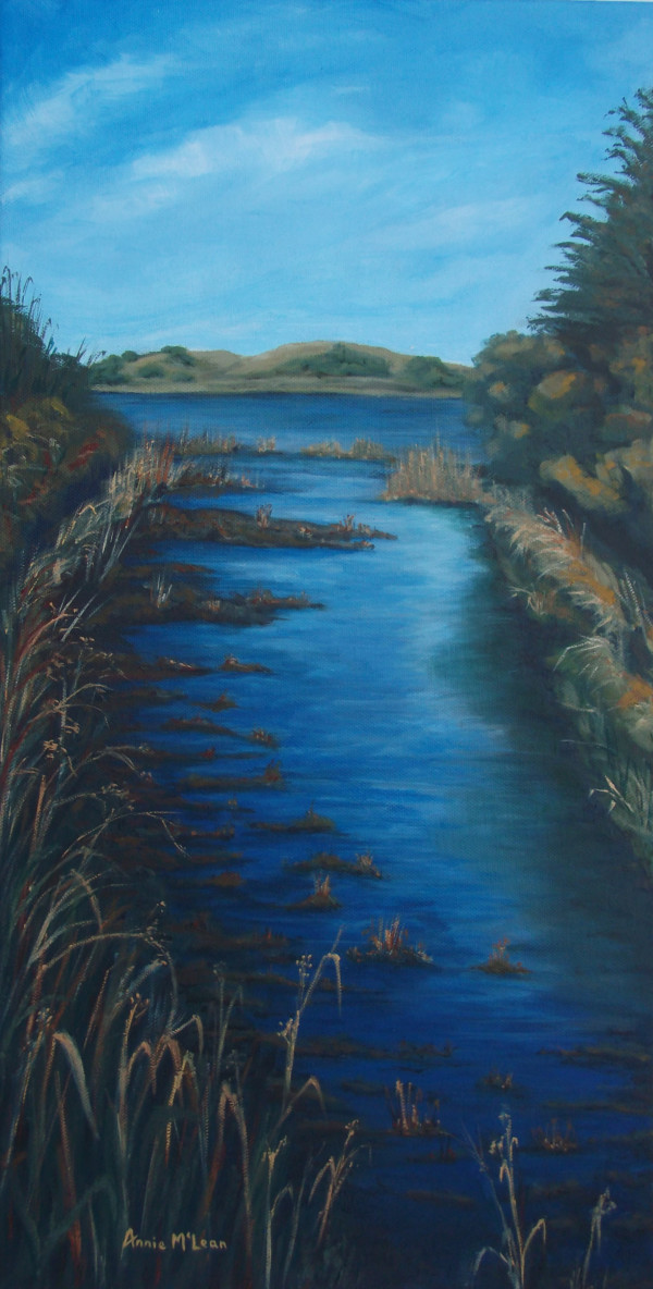 Forfar Loch by Annie McLean