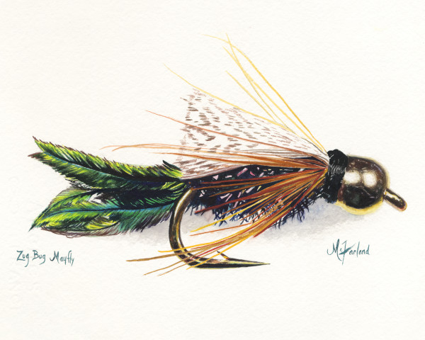 Zug Bug Mayfly - Prints Available
