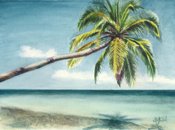 Palm Tree - Prints Available