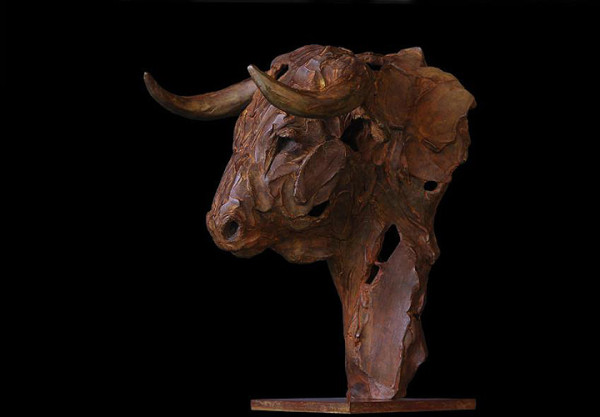 Bull head by Erwin Peeters