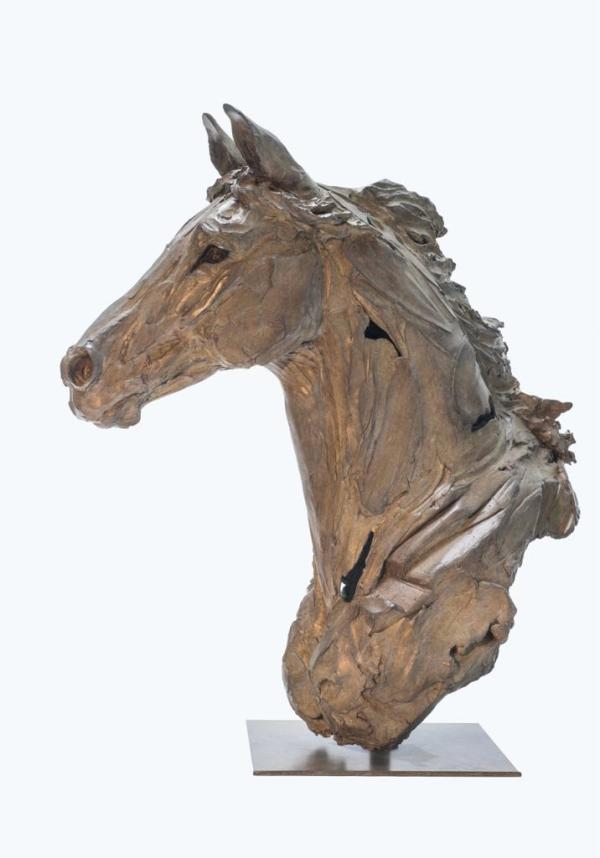 Horse head by Erwin Peeters