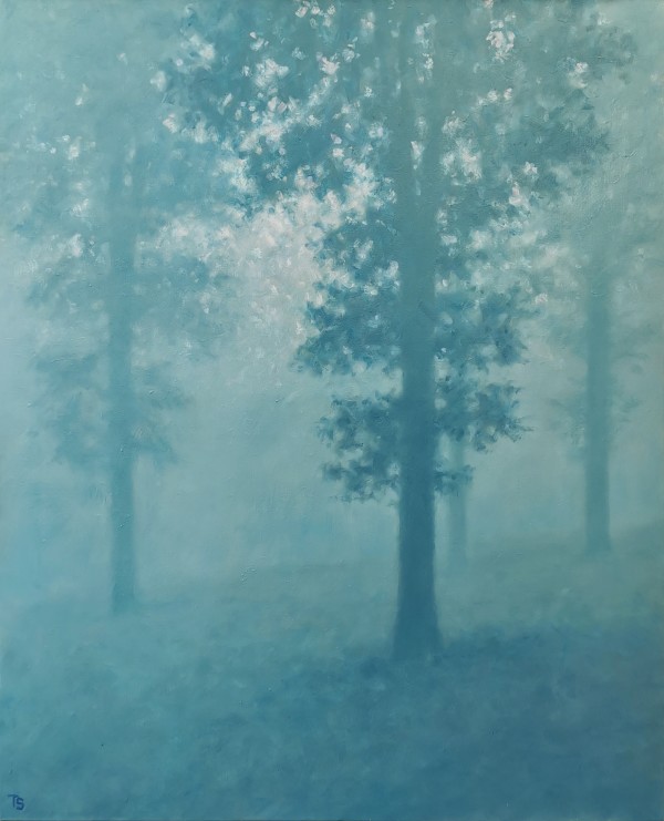 Forest,morning by Tobias Spierenburg