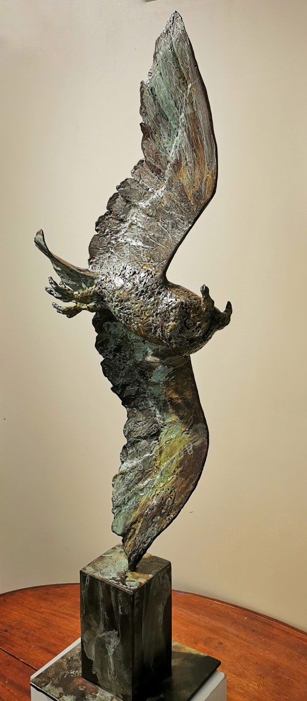 Vliegende uil by Hans Jouta