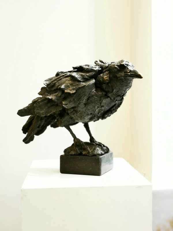 Crow by Pieter Vanden Daele