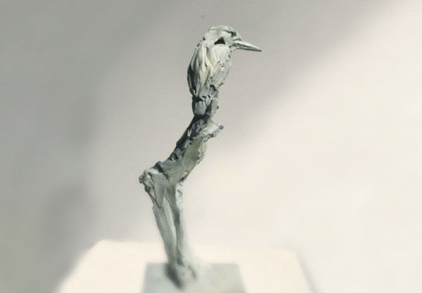 Icebird by Erwin Peeters