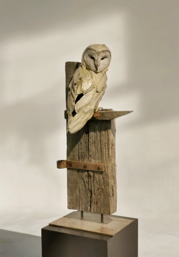Barn owl by Erwin Peeters
