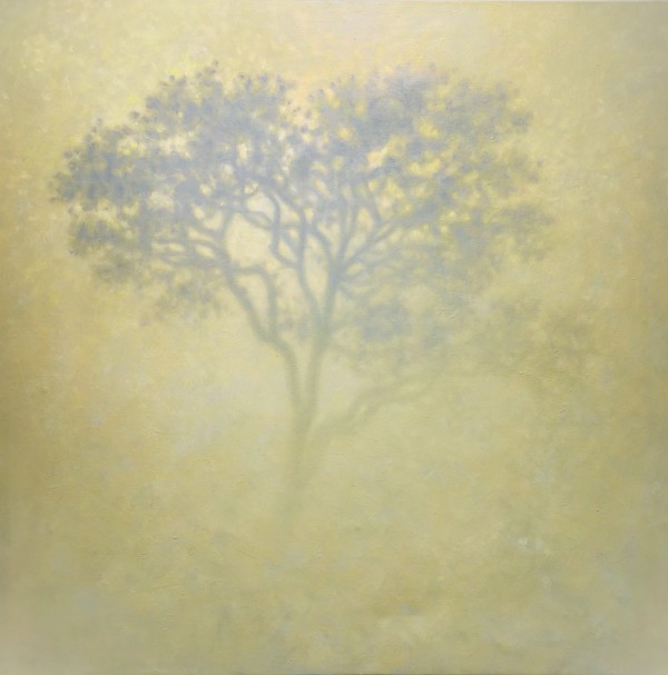 Fog by Tobias Spierenburg