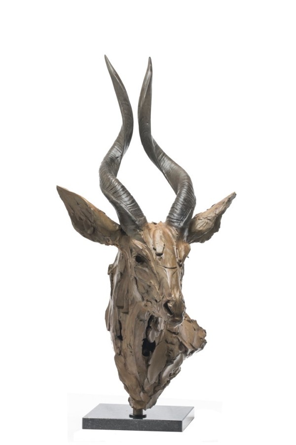 Antilope by Erwin Peeters
