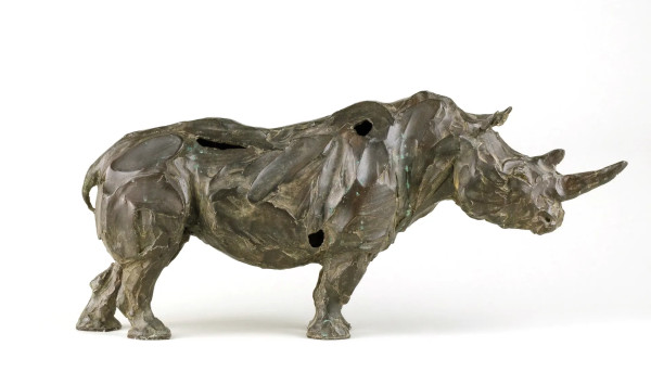 Rhino by Erwin Peeters