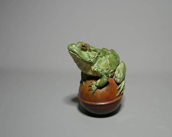 Frog on Globe by Pieter Vanden Daele
