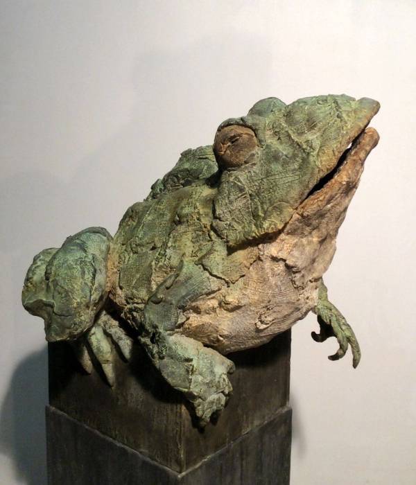 Big Frog by Pieter Vanden Daele